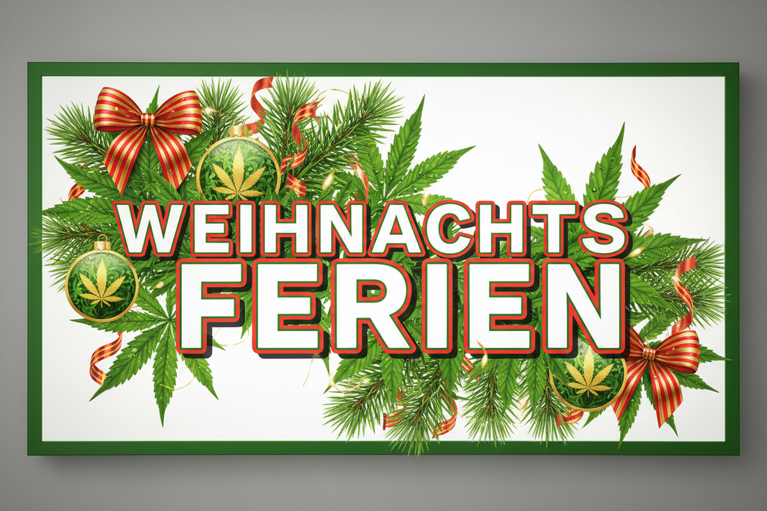 Weihnachtsferien