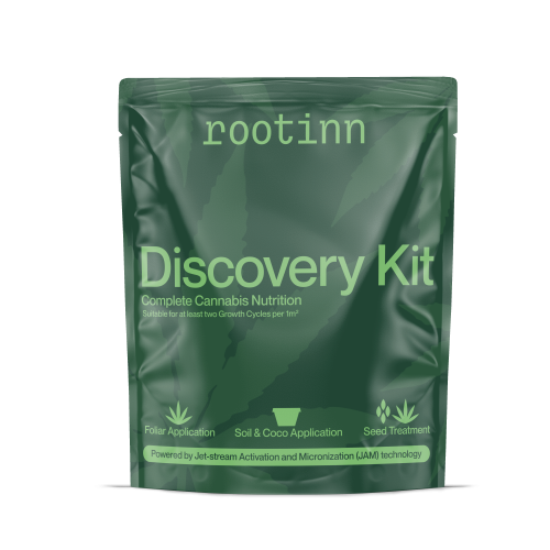DISCOVERY KIT rootinn